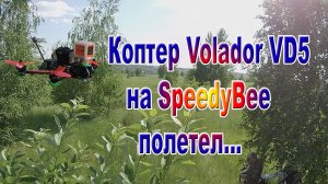 Проверка Volador VD5