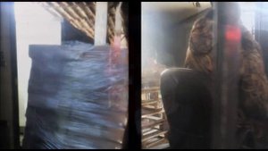 DiSa  Group - Продажа свежемороженой рыбы оптом