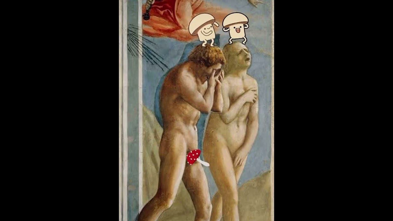 Можем ли мы утверждать что мир захватили грибы? смотреть онлайн