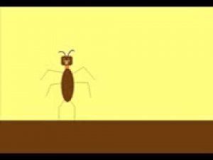 _Я весёлый таракан_