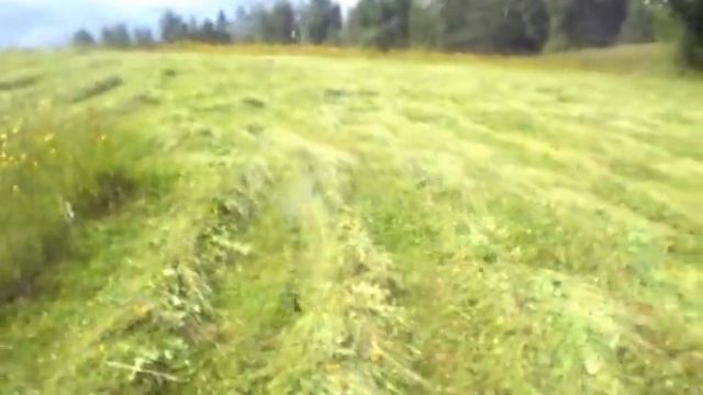 сенокос смотреть онлайн