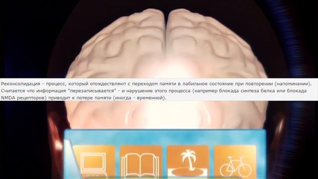 Потерять память людей (Амнезия)психология - психотерапевт смотреть онлайн