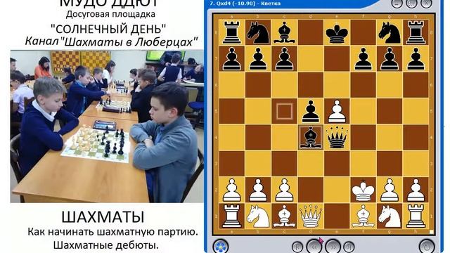 Как начинать шахматную партию  Шахматные дебюты
