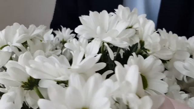 Корзина с кустовой хризантемой смотреть онлайн