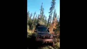 Nissan Safari