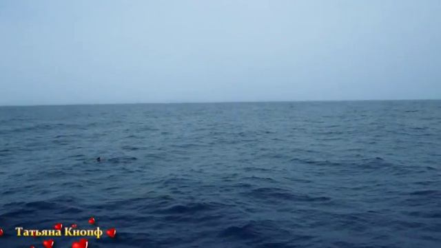 Ариана - ПОД ИСПАНСКИМ НЕБОМ смотреть онлайн