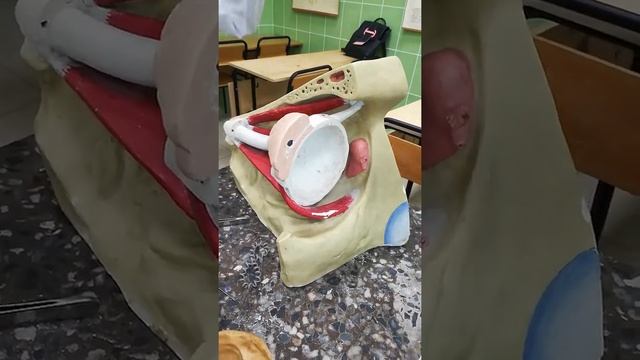 Глаза