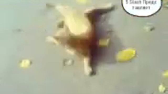 кот Гагарин (Приколы #2) смотреть онлайн