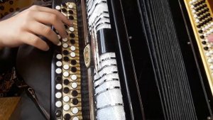 ★Виновата ли я на баяне ★ на аккордеоне bayan cover