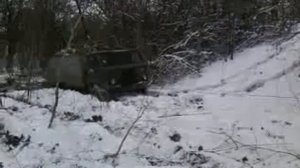 Горе_лесорубы