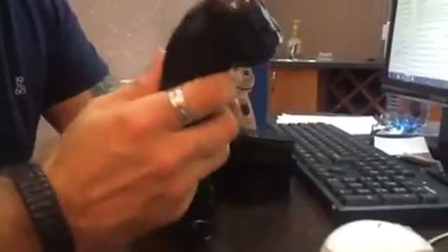 Бритва Бердск 3341 смотреть онлайн