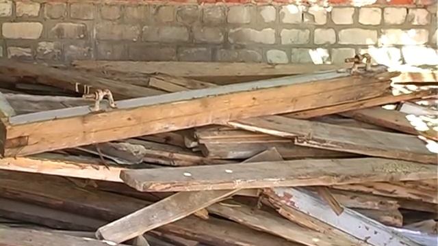 Беспредел судьи Бойко С.Л. г.Красный Луч Луг. обл.