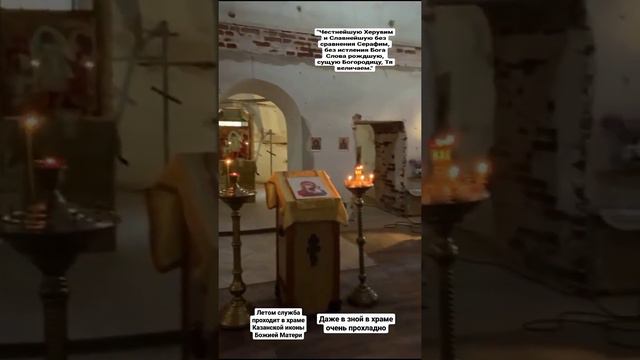 Литургия в Казанском Храме #НиколаевскойБорковскойПустыни смотреть онлайн