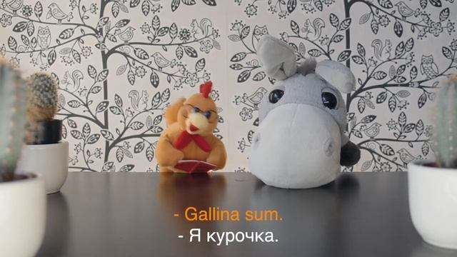 Латынь для детей: знакомство