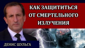 Защита жизни и здоровья. Все в ваших руках. Реальная борьба с электромагнитным излучением / Шульга