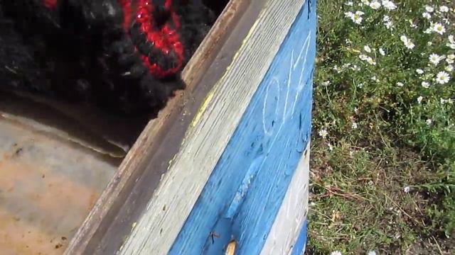 Безвзяточный периода конца весны. 29. 05. 2018 г. смотреть онлайн