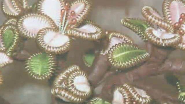 Поделки цветы из проволоки и ниток смотреть онлайн