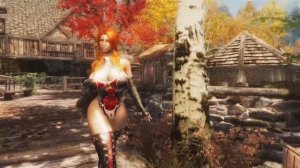 [Skyrim] 歩いているだけの動画です。