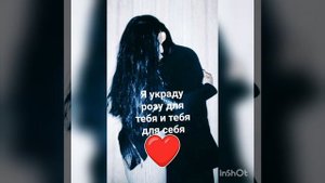 Вайда плащун "2022"