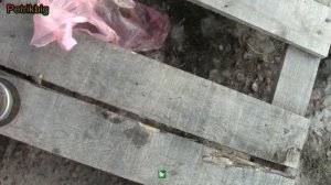 Газель- лопнул чулок(цапфа)