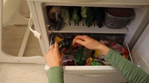 Что в холодильнике У ВЕГАНОВ?