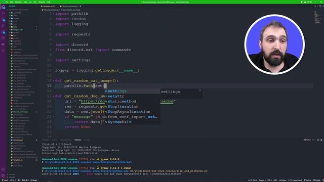 Send (local & API) Files in Discord with python and discordpy2 (Beginner Full Tutorial)