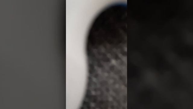 внучок ваня сказки про коровушек смотреть онлайн