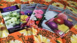 Какие семена сажаем в первую очередь.