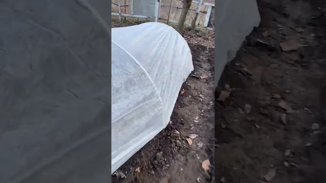 Парник Agrolife Украина смотреть онлайн