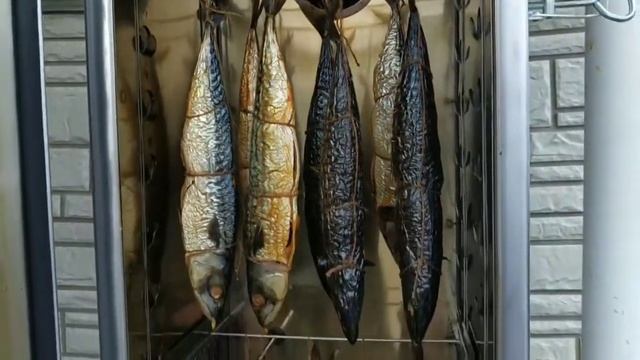 Копчёная скумбрия и горбуша СВОИМИ РУКАМИ