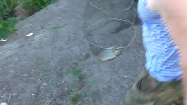 Рыбалка на карпа с ночёвкой. Выезд на платный пруд