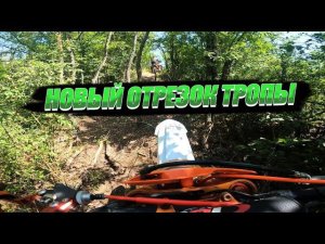 Тропа Кабана - Новый отрезок. Прожарка в лесу.