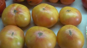 ТОМАТ ОАКСАКАНСКАЯ ДРАГОЦЕННОСТЬ. ДЕГУСТАЦИЯ. Ольга Чернова.