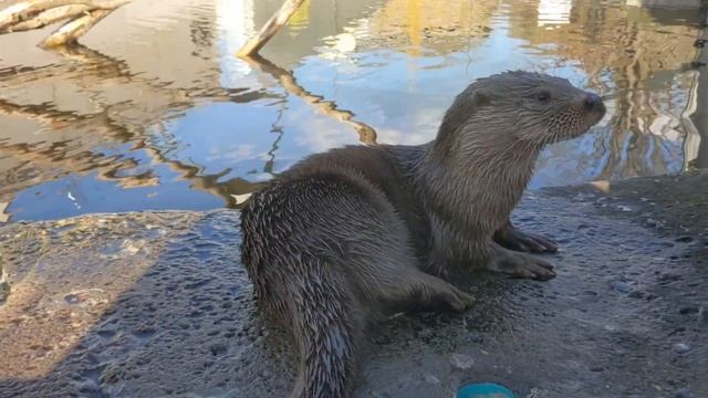 Вы ОБЯЗАТЕЛЬНО должны это увидеть,чтобы получить немного ПОЗИТИВА! смотреть онлайн