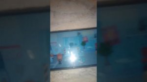 где найти капсулу с формалином в токе боке