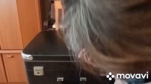 Упаковка баяна перед отправкой из Германии в Казахстан/в конце видео таможня