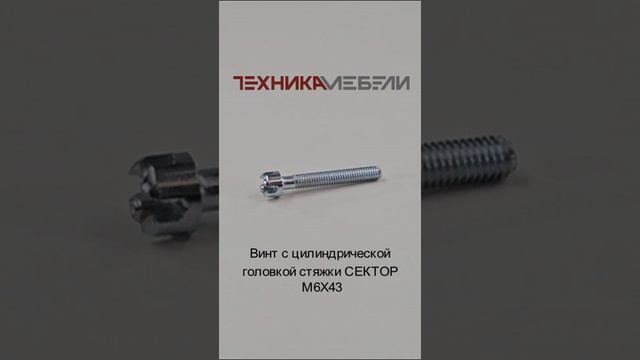 Винт с цилиндрической головкой стяжки СЕКТОР М6Х43 шорт