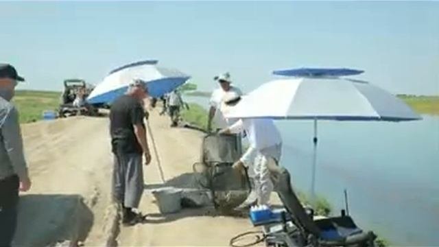 Рыбалка на Сардоба,канал Учтам,турнир по фидерной ловле!