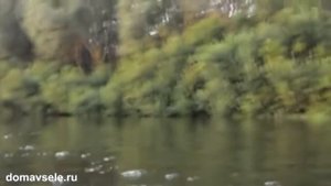 Рязанская область, Кадомский район. Купить дом или участок