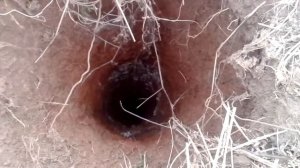 Дыра в земле