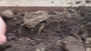 Ранняя посадка редиса, салата, укропа в теплицу в марте.