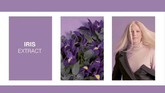 NOYELLOW EN смотреть онлайн