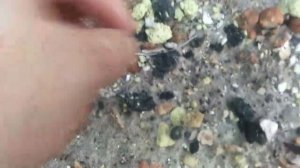 Где можно найти серу