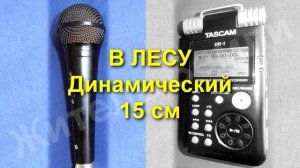 Какой микрофон выбрать? Профессиональное сравнение динамического и электретного микрофонов