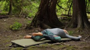 Yin Yoga For Lower Body | Unique Yoga Postures To Release Lower Back Pain & Body Stiffness