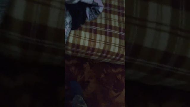 3333333арыпр смотреть онлайн