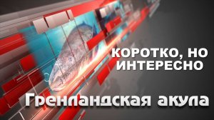 Гренландская акула. Сколько живет?