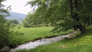 Кыт трэим пе ачест пэмынт