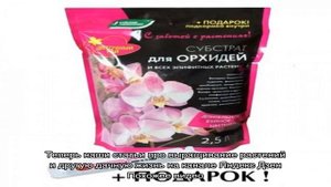 Как применять Фундазол для орхидей: тонкости лечения фунгицидом