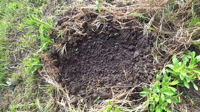 УЖЕ ГОД КАК КУПИЛИ ДОМ В КРАСНОДАРСКОМ КРАЕ И ТОЛЬКО СЕЙЧАС НАМ СТАЛО ИЗВЕСТНО ОБ ЭТОМ.